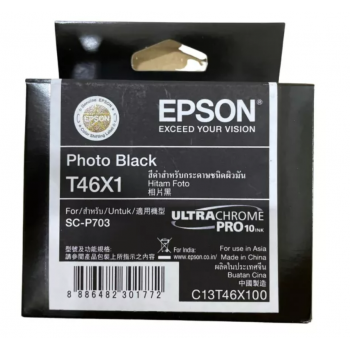 Epson T46X Photo Black Ink