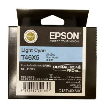 Epson T46X Light Cyan Ink