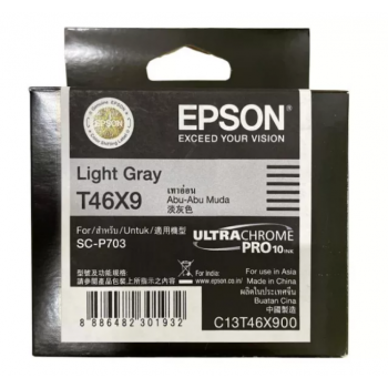 Epson T46X Light Grey Ink